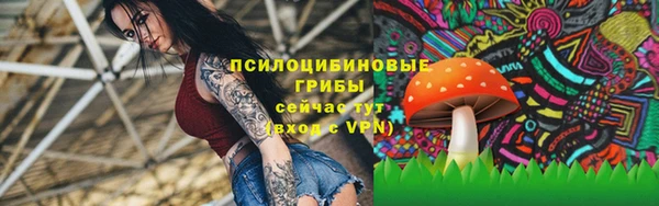 метамфетамин Алексеевка
